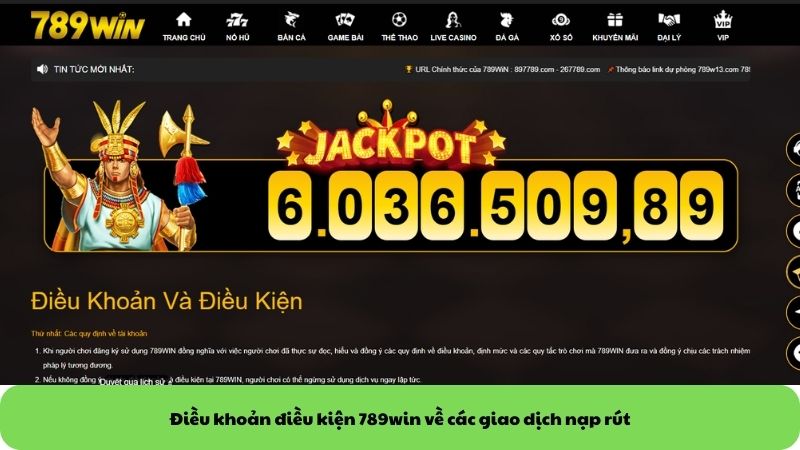 Điều khoản điều kiện 789win về các giao dịch nạp rút Điều khoản điều kiện 789win về các giao dịch nạp rút