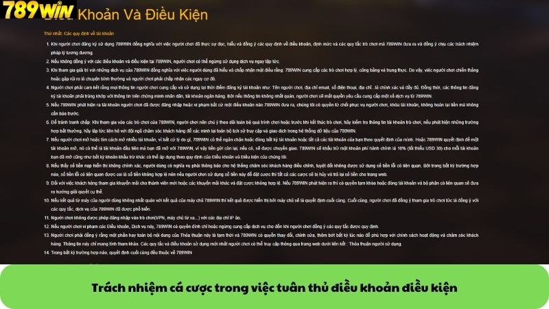 Trách nhiệm cá cược trong việc tuân thủ điều khoản điều kiện Trách nhiệm cá cược trong việc tuân thủ điều khoản điều kiện