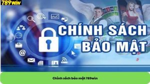 Chính sách bảo mật 789win