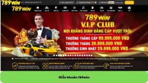 Điều khoản 789win