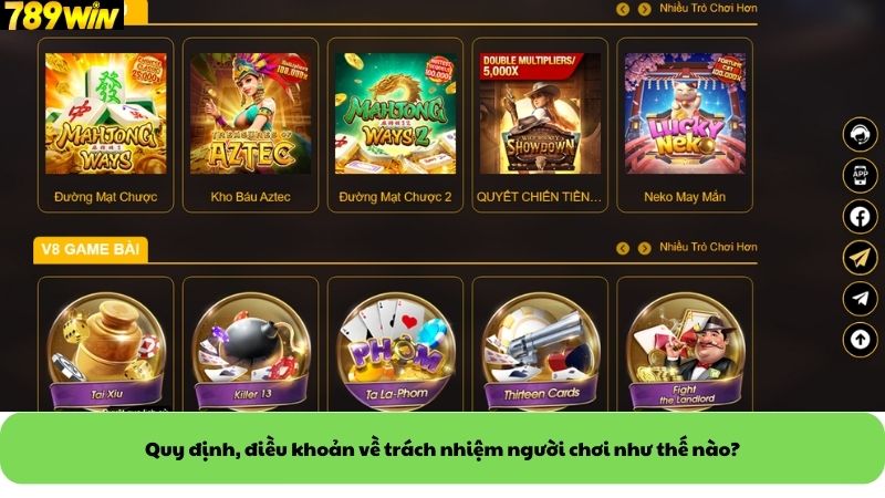 Quy định, điều khoản về trách nhiệm người chơi như thế nào Quy định, điều khoản về trách nhiệm người chơi như thế nào